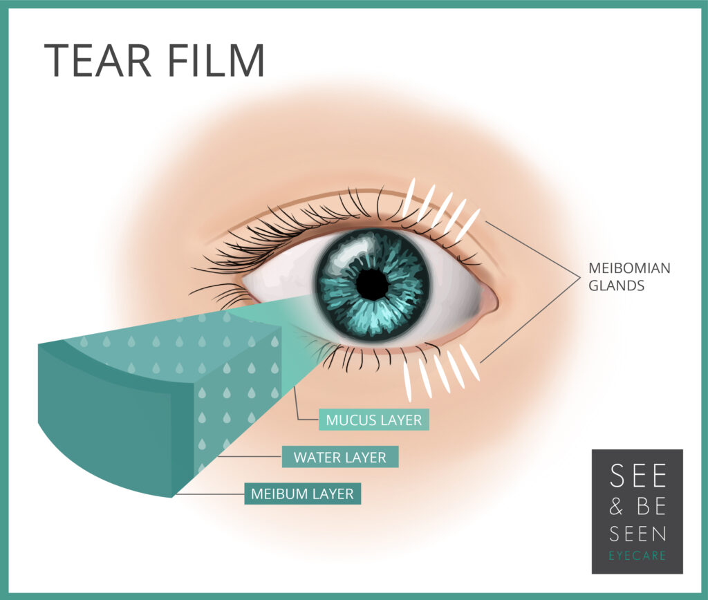 3 layers of the tear fil illustrated through eye